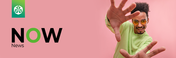 NOW News logo on green background NOW News logo on green