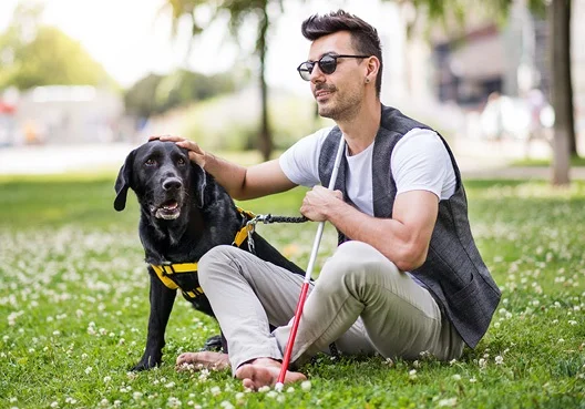 A blind man holding a cane sits on a green lawn next to his guide dog.