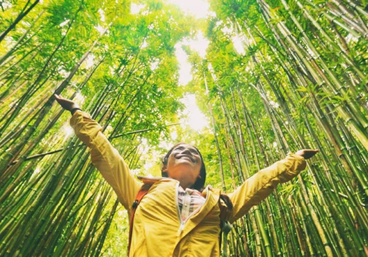 A woman wearing a yellow jacket spreads her arms to the side in a circle of green trees. 