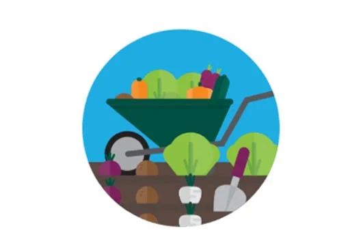 A graphic showing someone growing their own vegetables, similar to preserving retirement benefits.