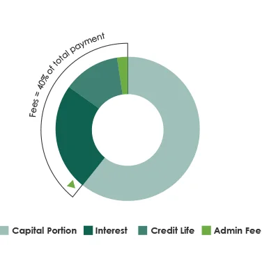 A circular graph showing the total cost of a personal loan take over 4 years.