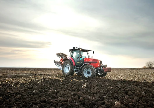 A range of agricultural products, including meat, eggs, nuts, and more.