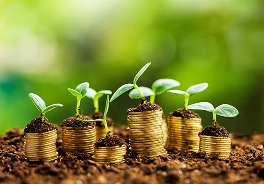 piles of gold coins with soil and plants 