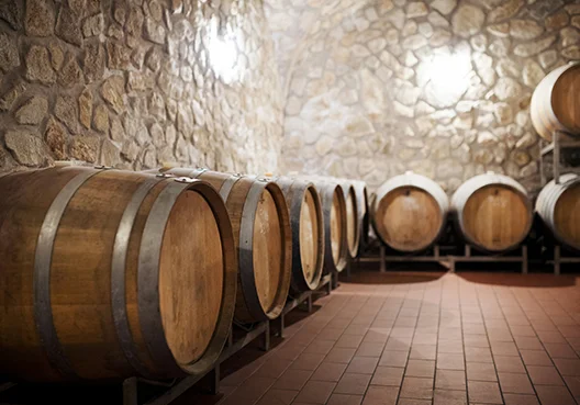 A scene from a vineyard protected by agricultural insurance.