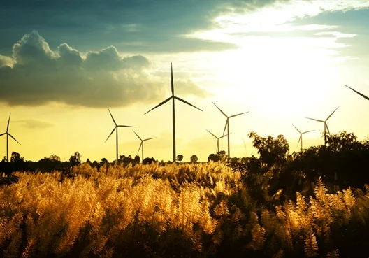 Turbines at sunset on a South African wind farm.