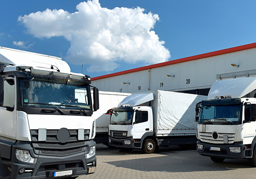 A fleet of white trucks at a local transport business